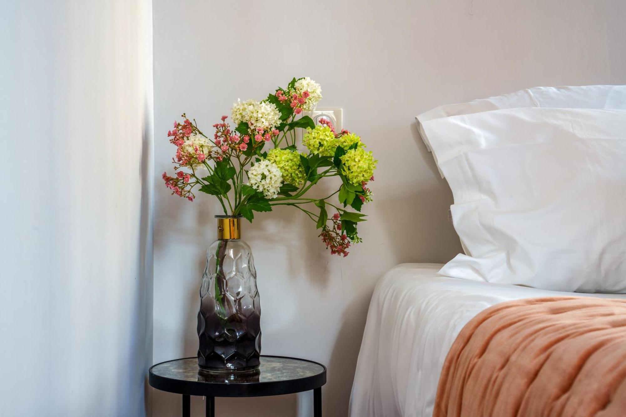 Appartement Raffine Vue Cathedrale, Jardin, Wifi Tours Ngoại thất bức ảnh